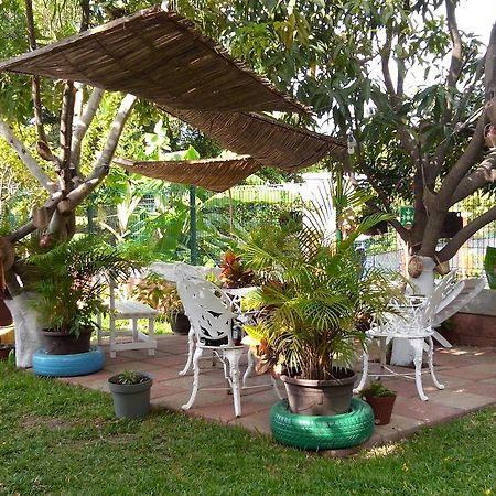 Hotel Real Del Ambar Tuxtla Gutiérrez Zewnętrze zdjęcie